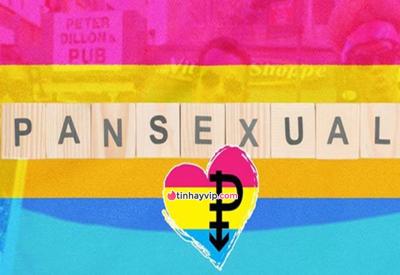 Pansexual là gì?