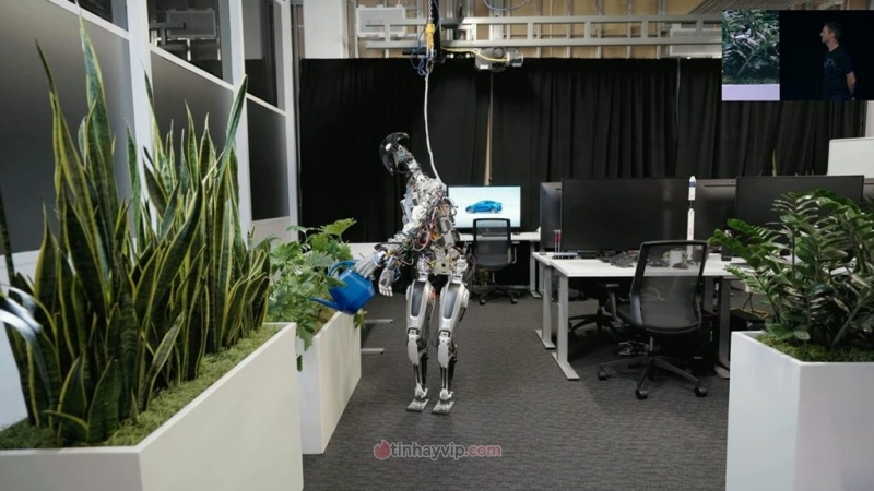 robot hình người