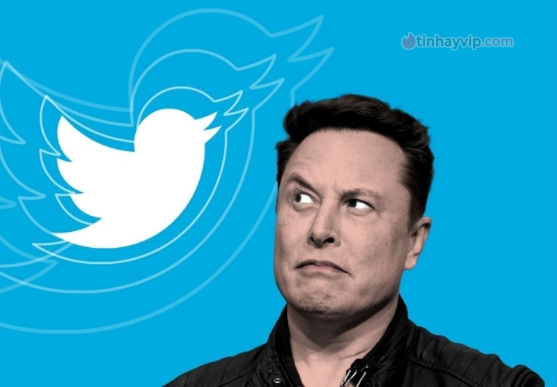 Elon Musk đăng bài thông báo sa thải kỹ sư trên Twitter