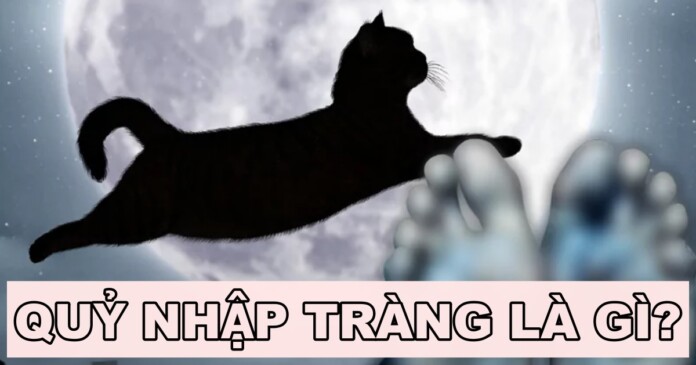 quy-nhap-trang-03 Quỷ nhập tràng là gì? Hiện tượng này có đáng sợ như bạn nghĩ