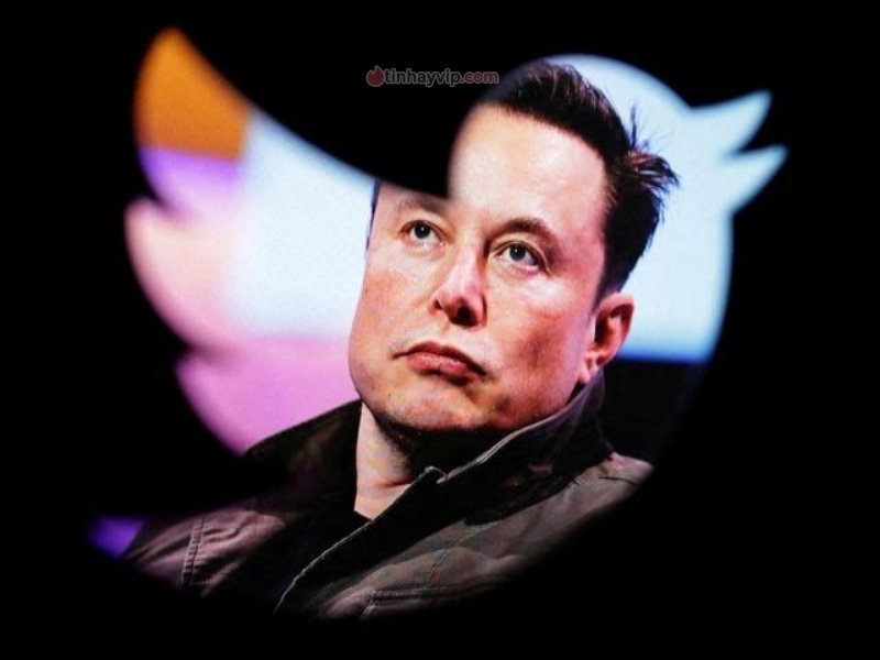 Hệ quả từ tuyên bố của Elon Musk "tối hậu thư" với nhân viên Twitter