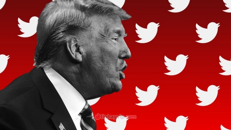 Trump không vui khi trở lại Twitter