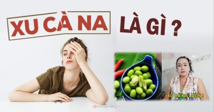 xu-ca-na-01 Xu cà na là gì? Xu cà na xí muội nghĩa là gì trên Facebook?