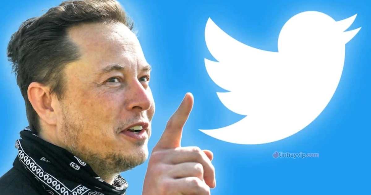 Elon Musk xây “phòng khách sạn buồn bã” cho nhân viên Twitter