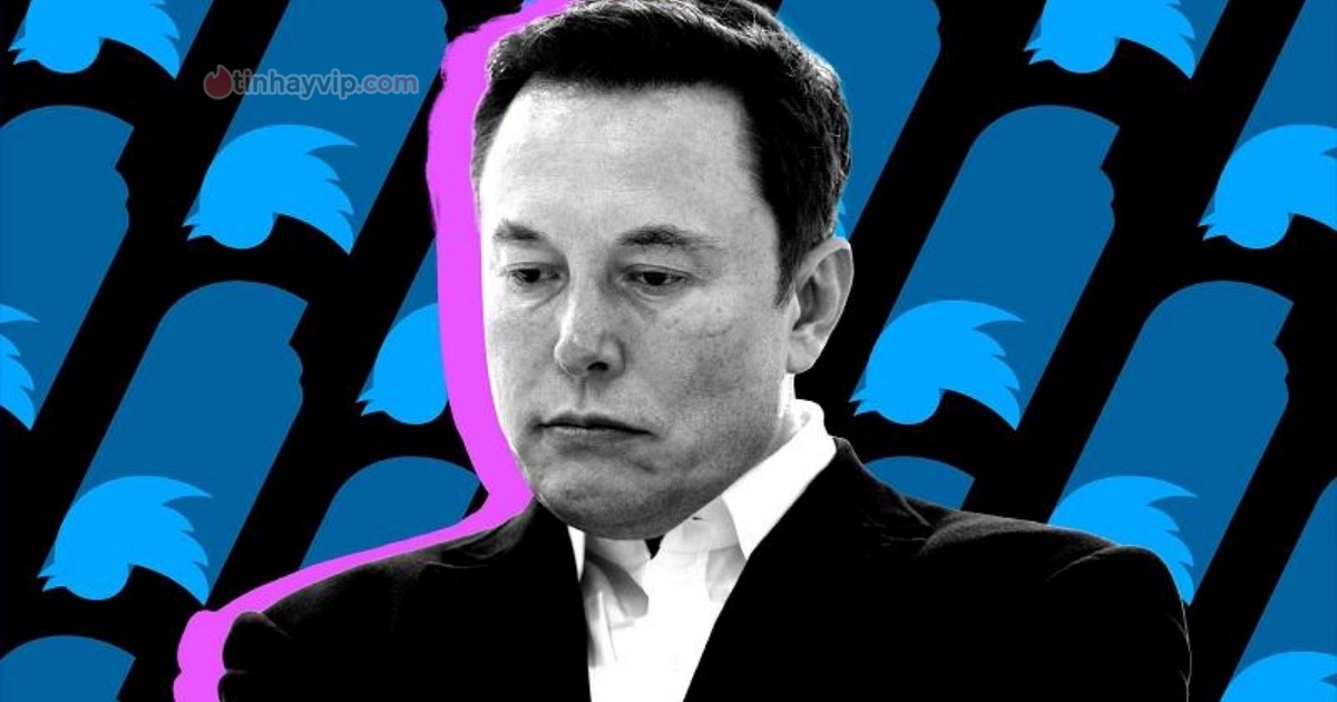 Elon Musk đăng khảo sát “nên từ chức CEO Twitter không”