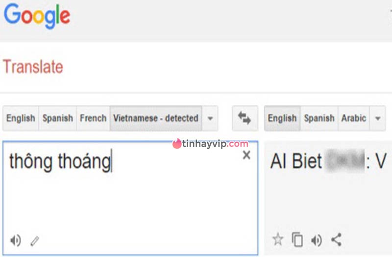 Google Translate tiếng Việt thô tục