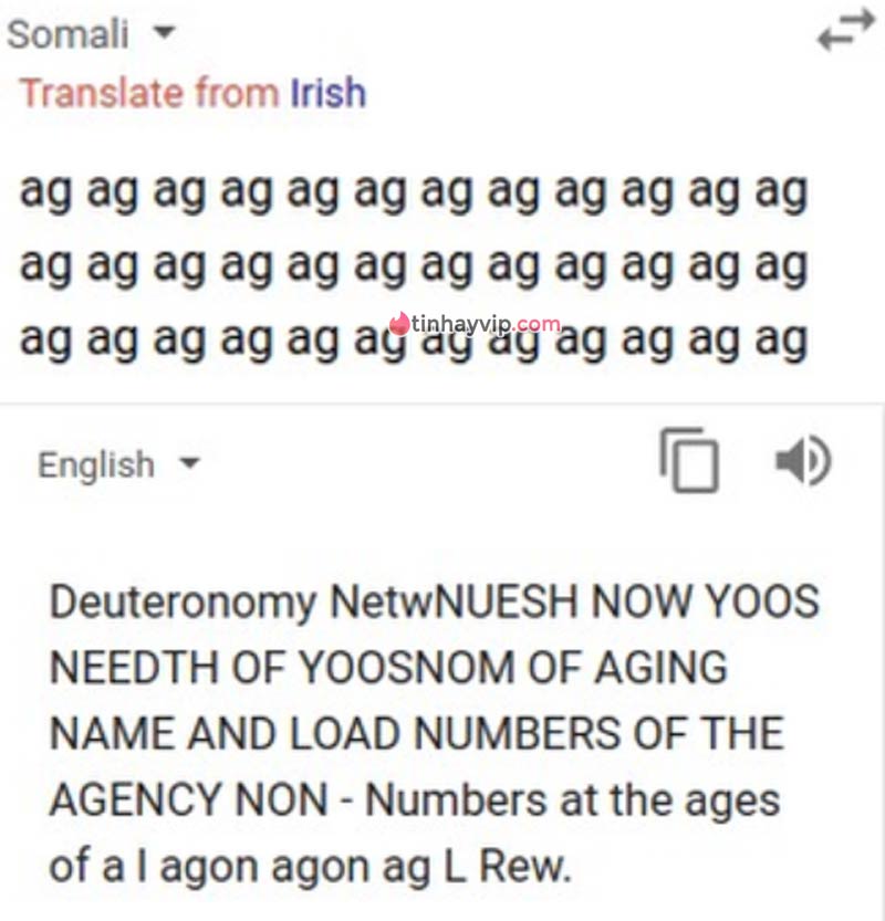 Hình ảnh Google Dịch nói xấu người Việt troll người dùng