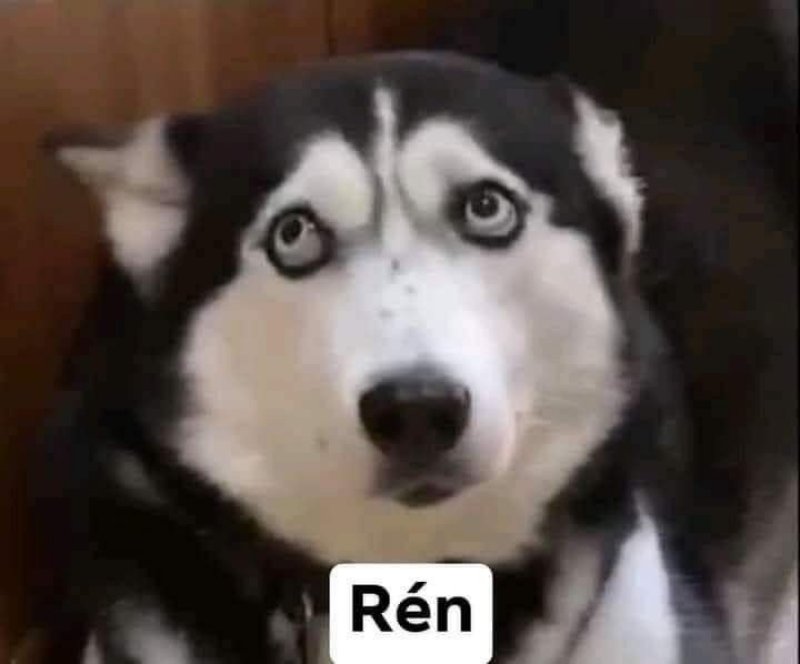 Ren là gì? 