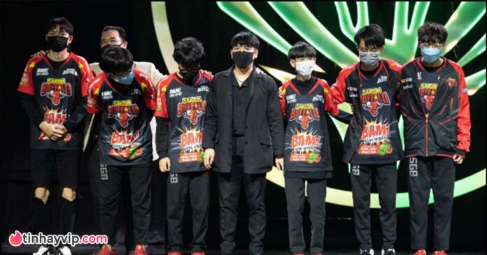 team-whales-bat-ngo-chao-don-xa-thu-tre-dang-cap Team Whales bất ngờ chào đón xạ thủ trẻ tại VCS 2023