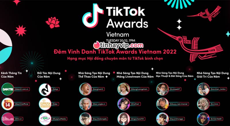 6 hạng mục Tiktok Vietnam Awards 2022 do Hội đồng chuyên gia TikTok bình chọn