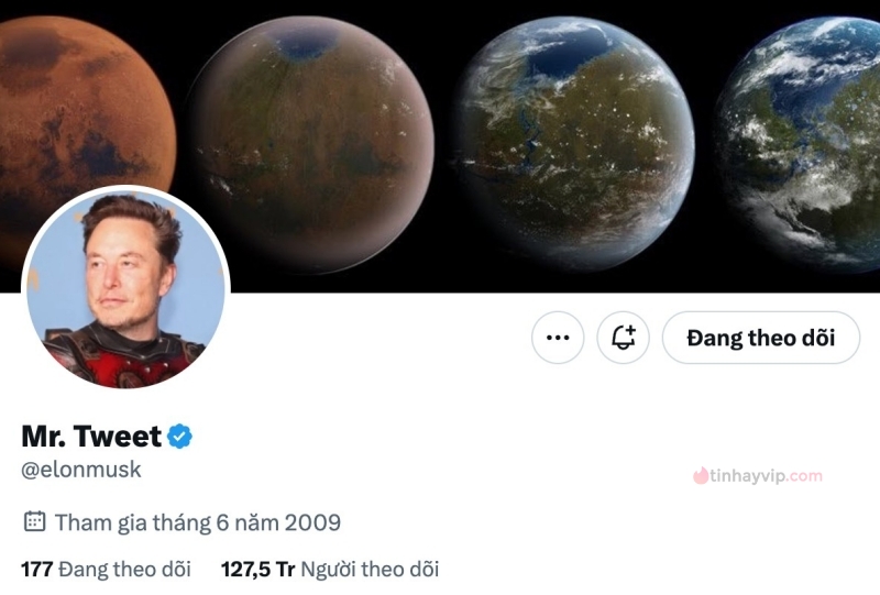 Elon Musk được gọi là "Mr. Tweet"