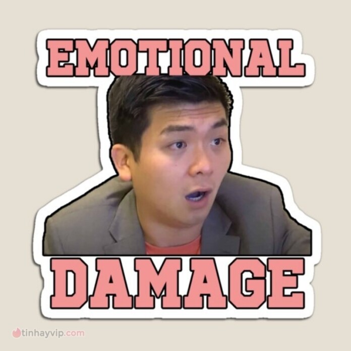 Emotional Damage Là Gì Meme Hài Hước Nhất Trên Tiktok