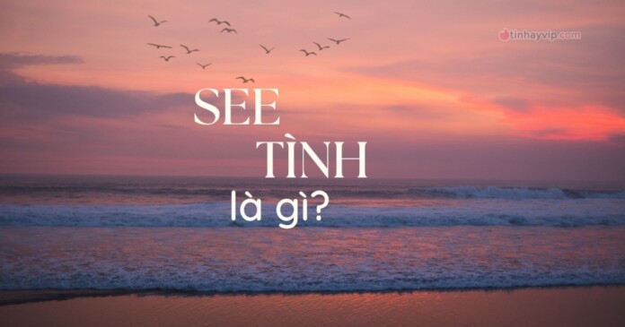 see-tinh-04 See tình là gì? Ý nghĩa đúng nhất của từ này