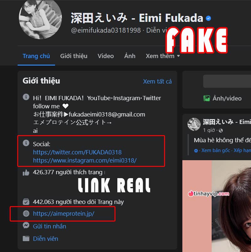 Dấu tích xanh của Eimi Fukada trên Facebook là giả mạo 1