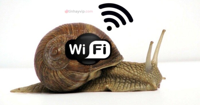 internet-02 Nguyên nhân người dùng Việt truy cập internet chậm