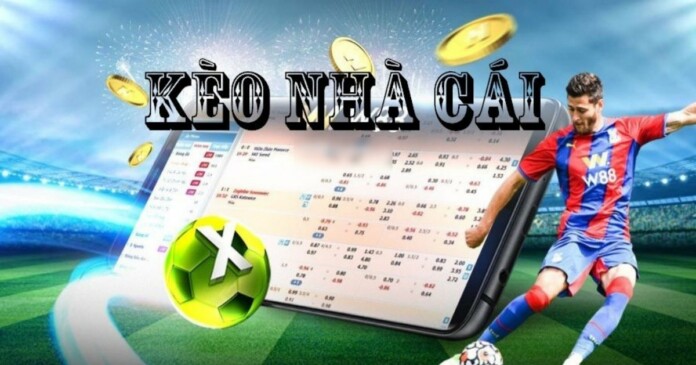 keo-nha-cai-01 Nhà cái bóng đá là gì? Họ thu lợi nhuận bằng cách nào?