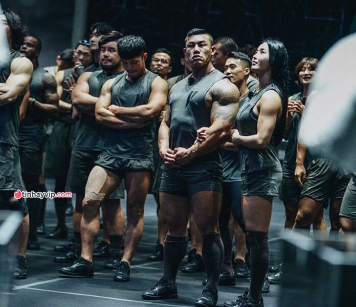 Physical netflix