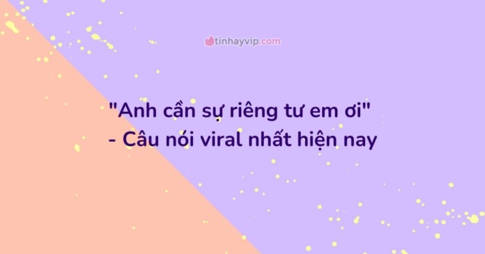 anh-can-su-rieng-tu-em-oi-07 Anh cần sự riêng tư em ơi là gì? Nguồn gốc của trend này?
