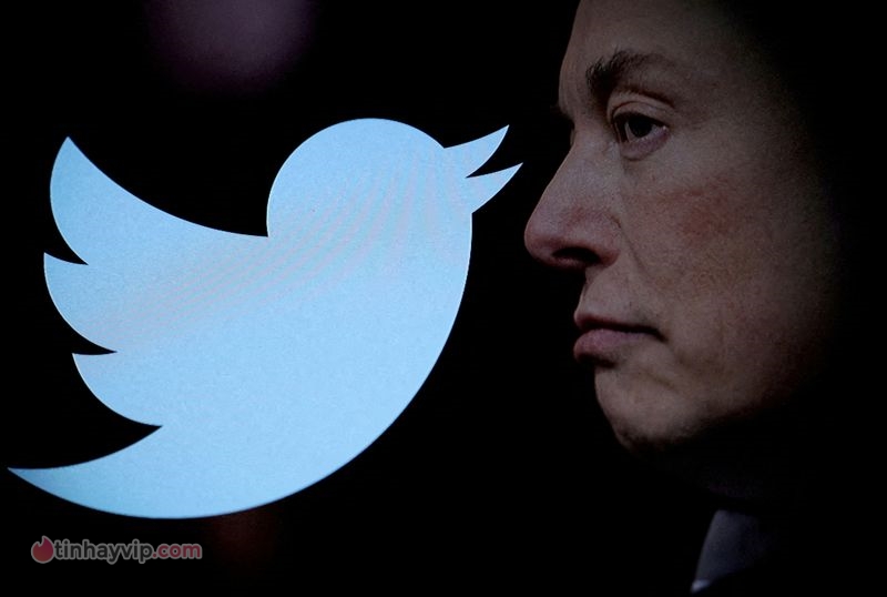 Twitter mất một nửa giá trị sau khi bị Elon Musk thâu tóm