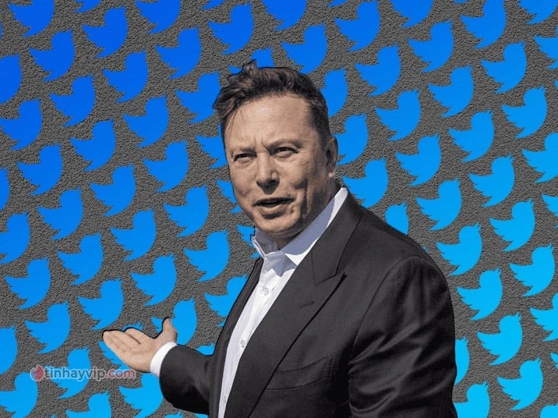 Elon Musk sa thải 70% nhân sự từ khi tiếp quản Twitter