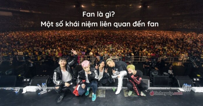 fan-07 Fan là gì? Những khái niệm liên quan đến fan