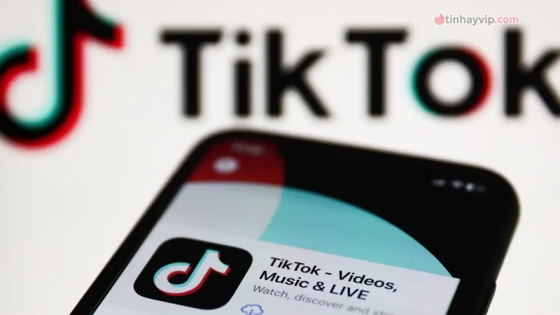 Đã có 5 quốc gia áp dụng lệnh cấm sử dụng TikTok