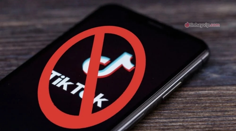 Những nước đã ra lệnh cấm TikTok