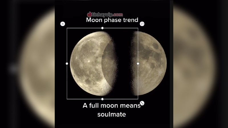 Moon Phase là gì?
