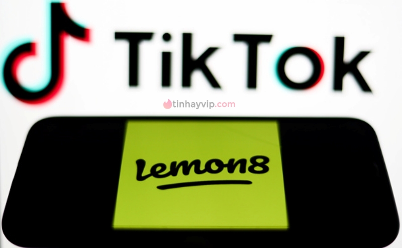 “Anh em song sinh” của TikTok - Lemon8