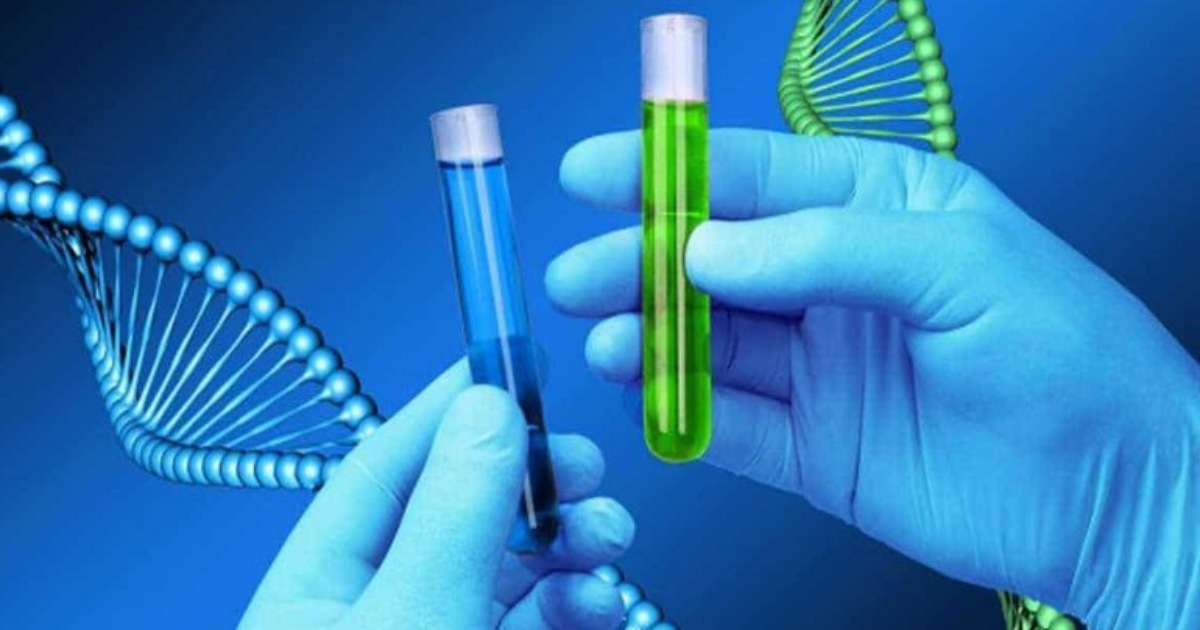 Xét nghiệm ADN là gì? Mất bao nhiêu tiền để kiểm tra huyết thống