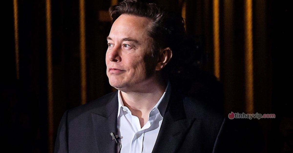 Elon Musk không chọn con mình là người kế vị