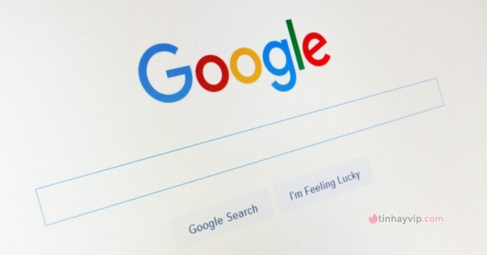 google-01 Google nâng cấp cho công cụ tìm kiếm