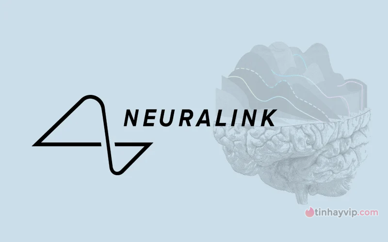 Neuralink sẽ công bố thời gian thử nghiệm vào thời gian tới
