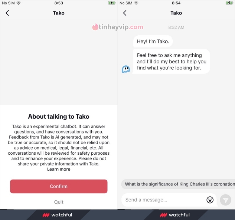 TikTok đang thử nghiệm chatbot AI tại khu vực Philippines