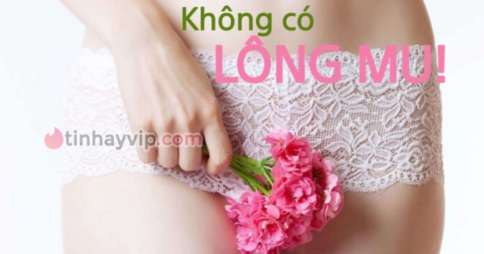 khong-co-long-mu Không có lông mu.