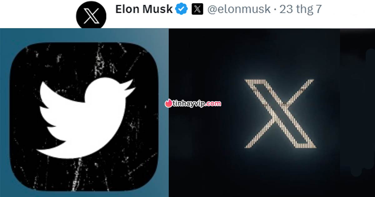 Twitter bị đổi tên, logo và giao diện thành X