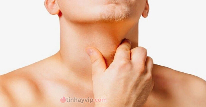 Yet-hau-la-gi-Giai-dap-ve-Diem-G-cua-canh-may-rau Yết hầu là gì? Giải đáp về điểm G của cánh mày râu