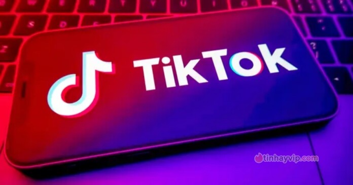 tiktok-02 NewYork cấm nhân viên công quyền dùng TikTok