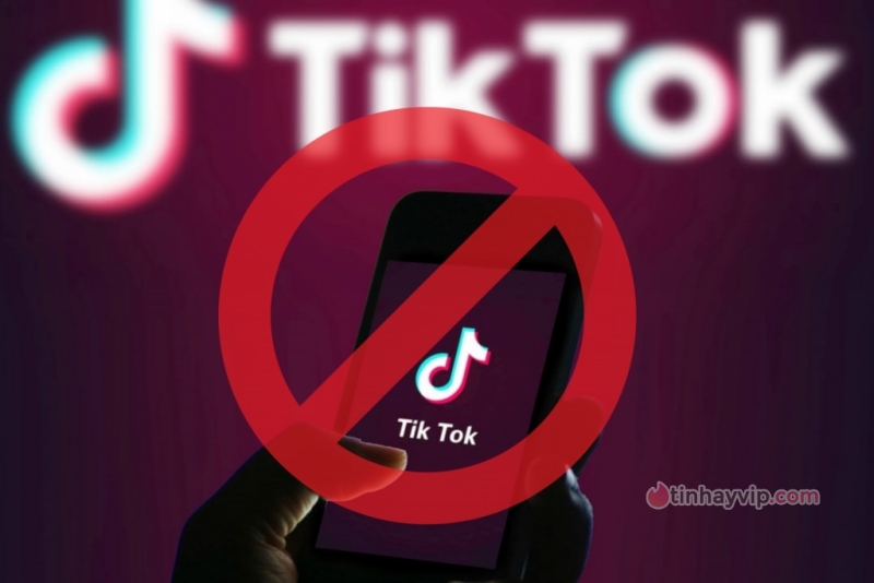 Làn sóng cấm TikTok ngày càng mở rộng tại Mỹ