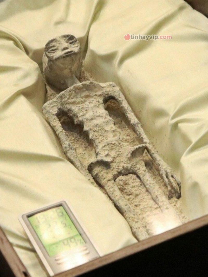 Hai hài cốt hoá thạch "người ngoài hành tinh" được đoán khoảng 1.000 năm tuổi 