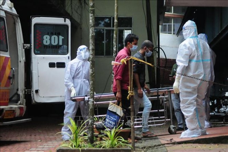 Virus Nipah gây chết người bùng phát ở Ấn Độ