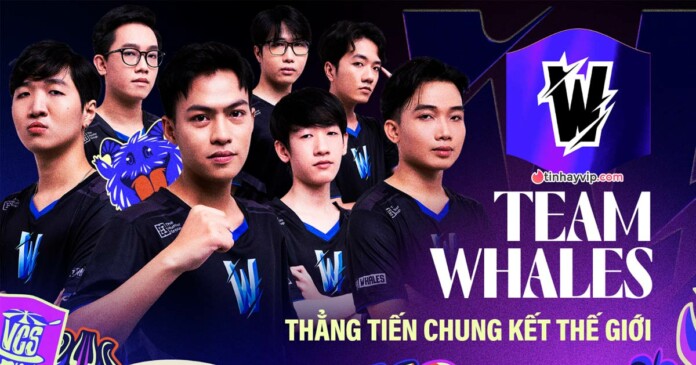 tw-la-dai-dien-tiep-theo-cua-vcs-den-voi-cktg-2023-0 TW là đại diện tiếp theo của VCS đến với CKTG 2023