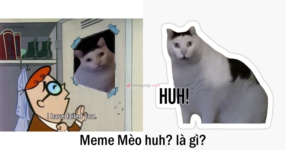 Meme 