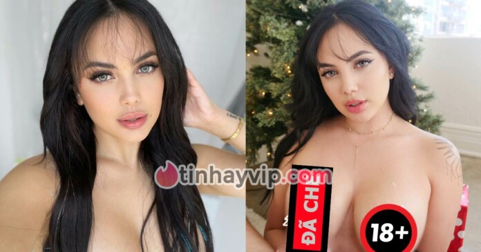 nika-venom-thua-nhan-de-dai-voi-tat-ca-loi-ga-gam-0 Nika Venom thừa nhận