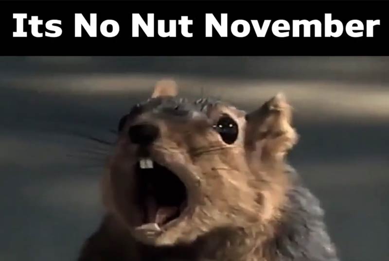 Top ảnh meme No Nut November 6