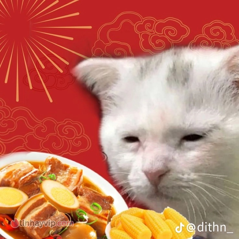 Meme mèo Tết thịt kho trứng