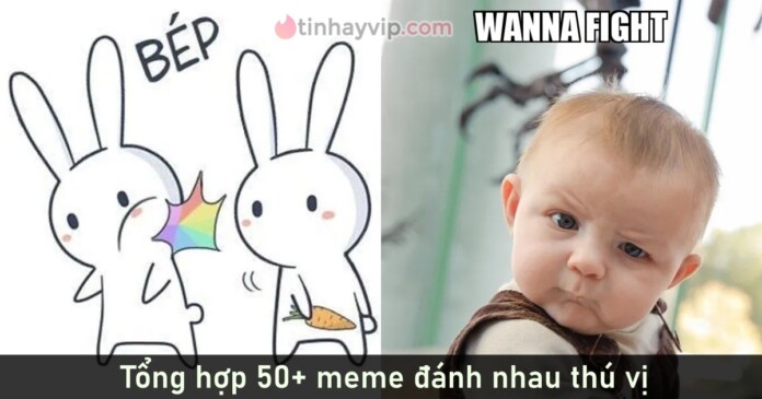 meme-danh-nhau-48 Tổng hợp 50+ meme đánh nhau cực kỳ dễ thương và thú vị