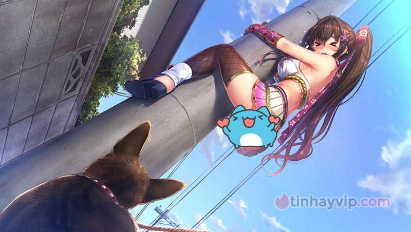 Game 18+ Việt Hóa NinNinDays - Sống cùng nữ ninja gợi tình Game 18+ Việt Hóa NinNinDays - Sống cùng nữ ninja gợi tình