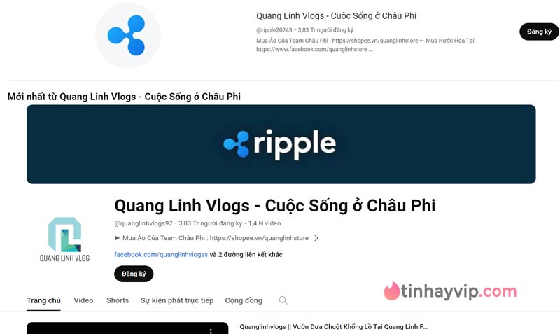 Quang Linh Vlogs