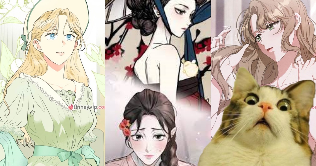 Top manhwa 18+ cổ đại vừa drama vừa